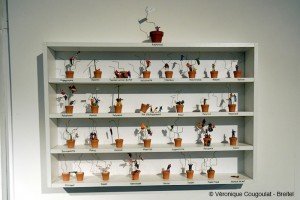 Ex'pots